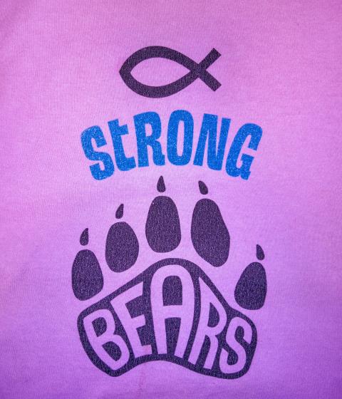 Strong Bears Moving LLC profile image