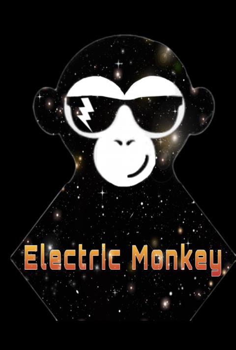 Electric Monkey Moving profile image