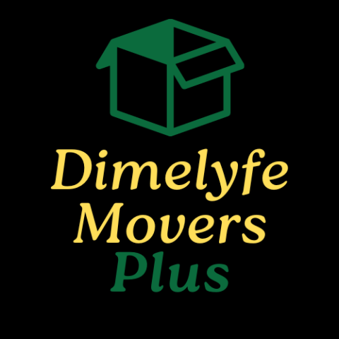 Dimelyfe Movers Plus profile image