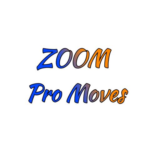 ZOOM PRO MOVES profile image